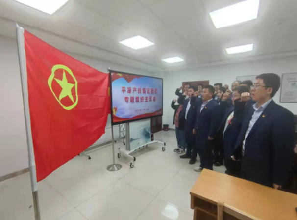 九州线上平台团委召开2021年度专题组织生活会(图5)